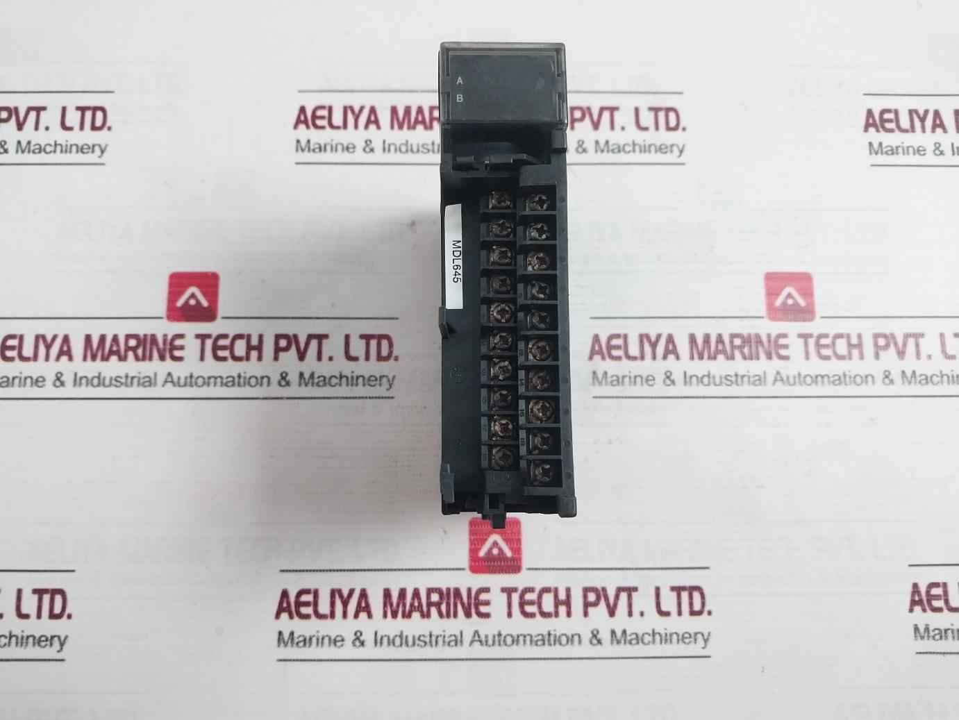 Ge Fanuc Ic693Mdl645E Positive/Negative Logic Input Module 24Vdc 60C