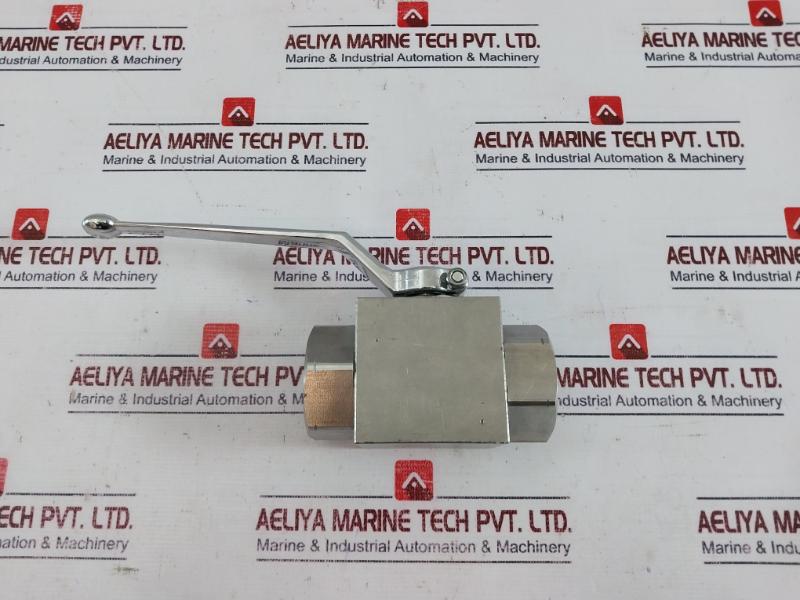 Gemels Ge2 N1 High Pressure Hydraulic Ball Valve Psi5075/Ps15075 Ge2Nnt53044A000