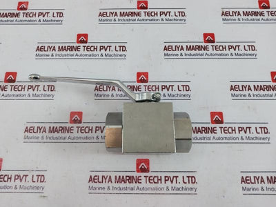 Gemels Ge2 N1 High Pressure Hydraulic Ball Valve Psi5075/Ps15075 Ge2Nnt53044A000