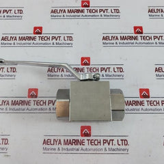Gemels Ge2 N1 High Pressure Hydraulic Ball Valve Psi5075/Ps15075 Ge2Nnt53044A000