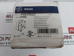 General Electric P9Epeg1 Control Station