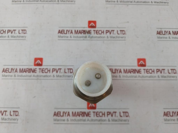 Gestra Lrg 12-1 Conductivity Electrode Dn R 1 1/4 Inch 10 Bar Ip65