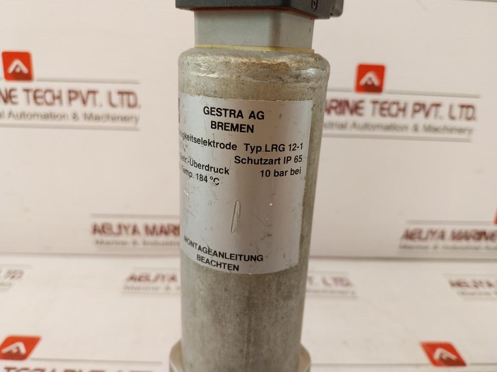 Gestra Lrg 12-1 Conductivity Electrode Dn R 1 1/4 Inch 10 Bar Ip65