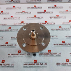 Gestra Nrg 16-11S Level Electrode 32 Bar(464Psi) 238°C(460°F)