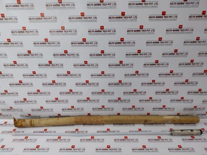 Gestra Nrg 26-21 Level Electrode Pn40 G 3/4