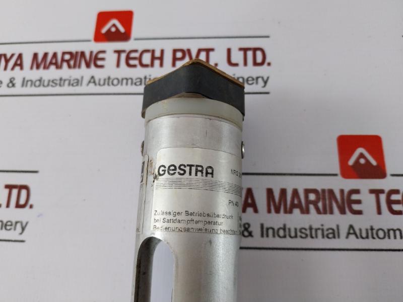 Gestra Nrg 26-21 Level Electrode Pn40 G 3/4