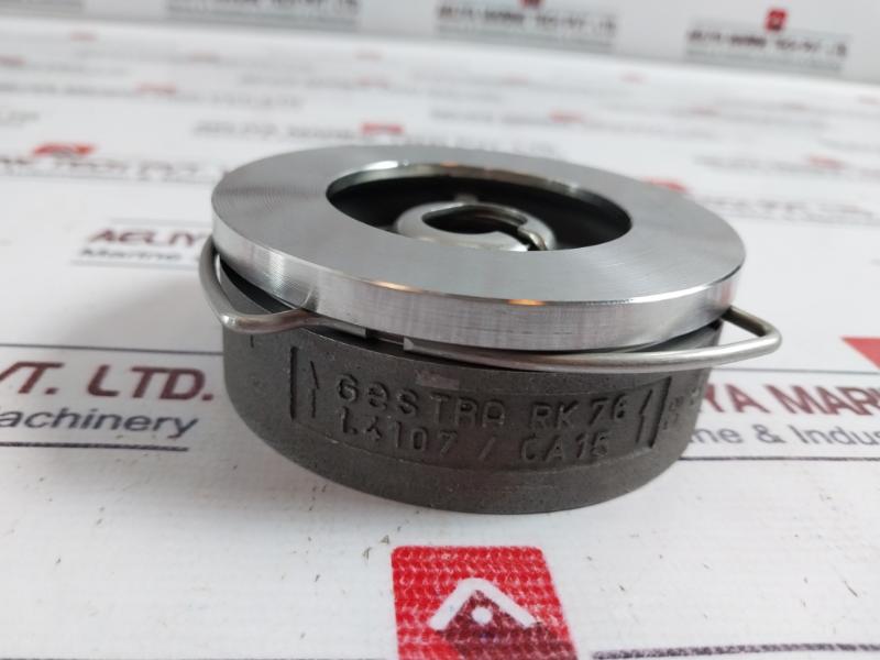 Gestra Rk 76 Non-return Check Valve Dn 40 Pn 40 1.4107/ca15