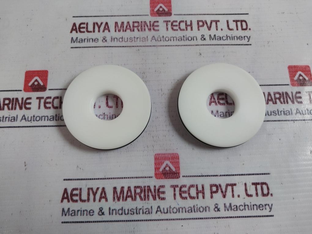 Gilmore 25502-1 Rk Spm Valve 1”Npt Repair Kit Rev C