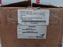 Gilmore 44819-96 Rk Repair Kit 5000 Psi In 1" Npt Rev B