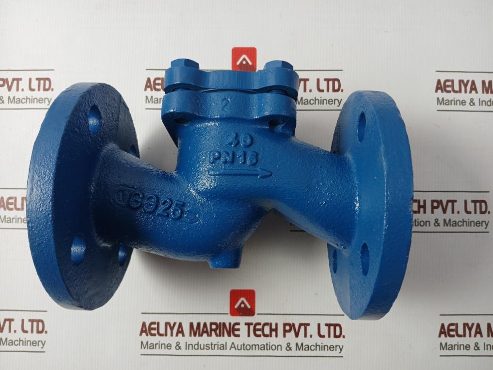 Gjl250 Lift Check Valve Pn 16