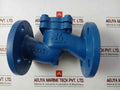 Gjl250 Lift Check Valve Pn 16