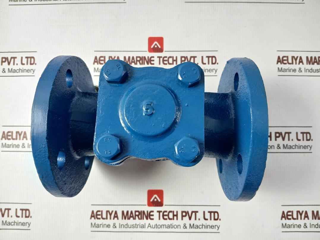 Gjl250 Lift Check Valve Pn 16