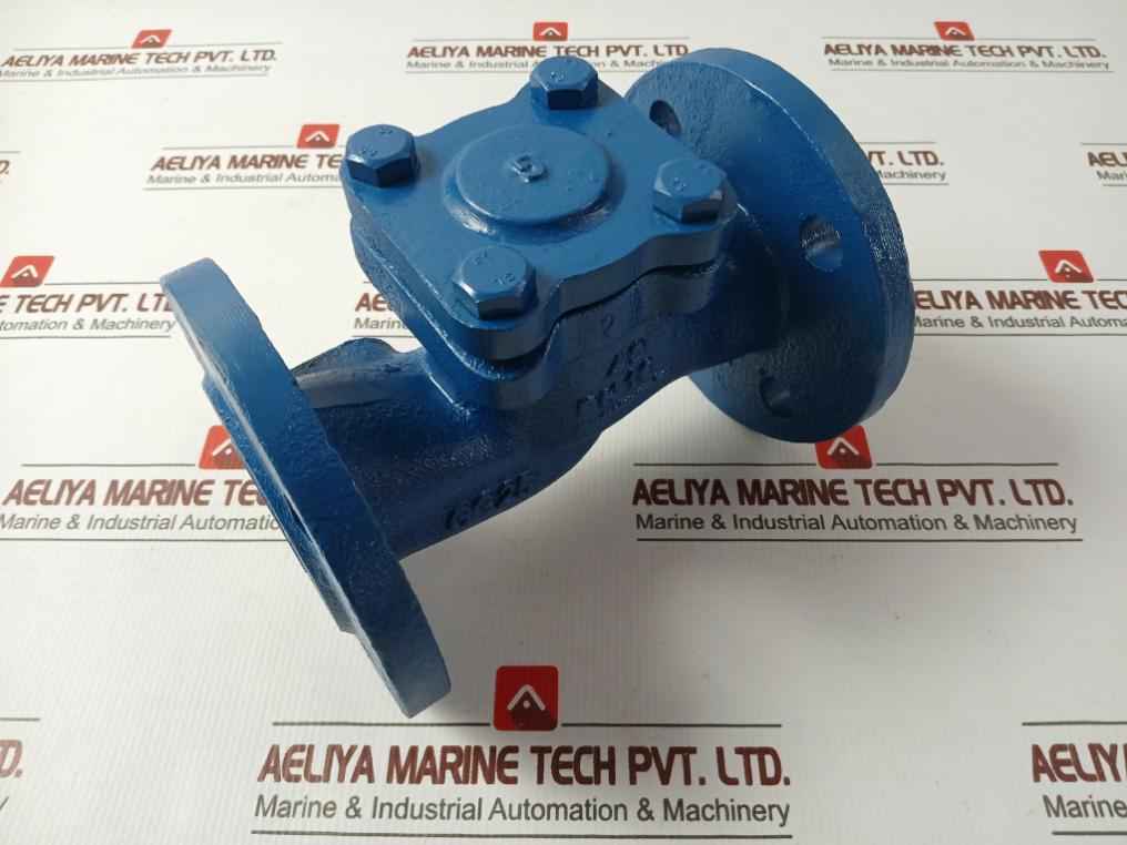 Gjl250 Lift Check Valve Pn 16