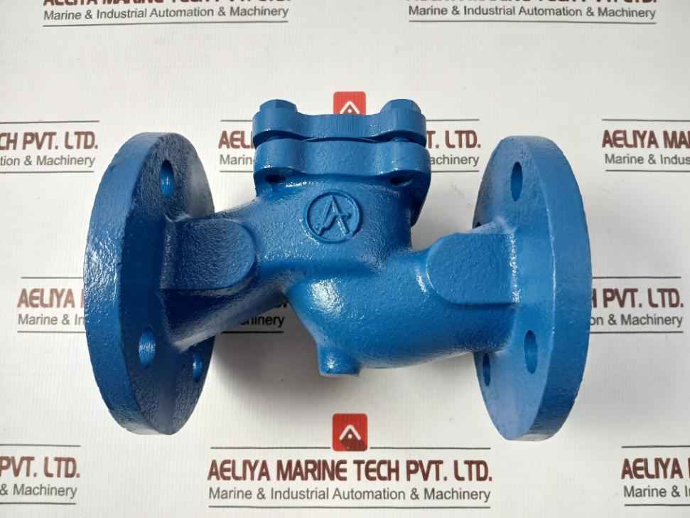 Gjl250 Lift Check Valve Pn 16