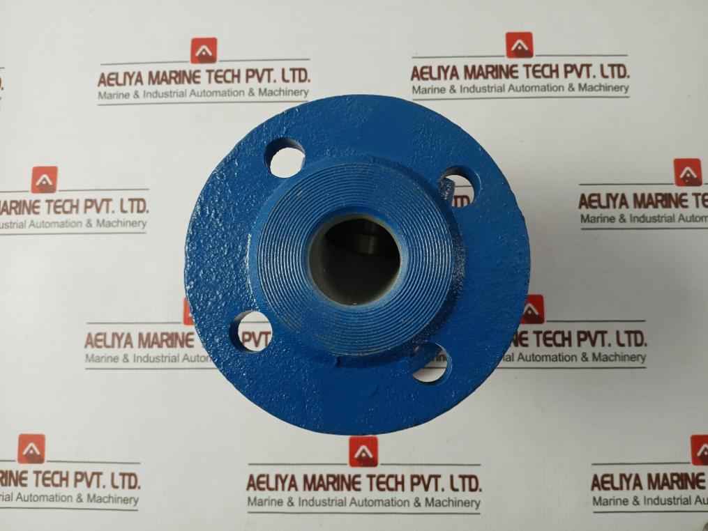 Gjl250 Lift Check Valve Pn 16