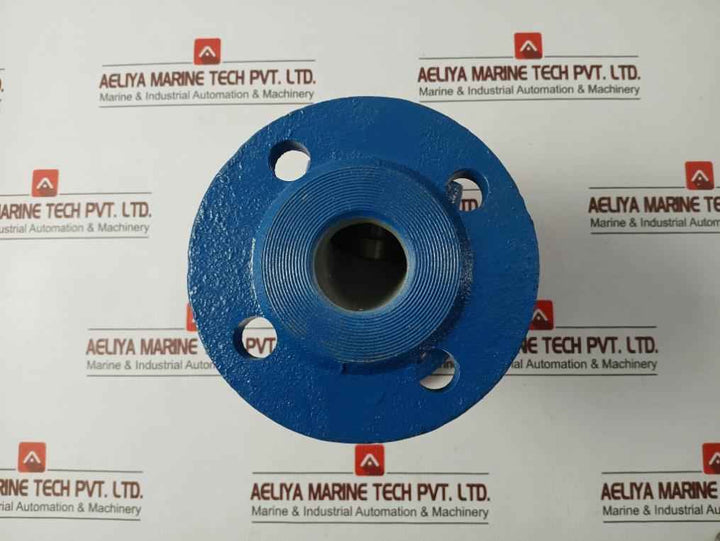 Gjl250 Lift Check Valve Pn 16