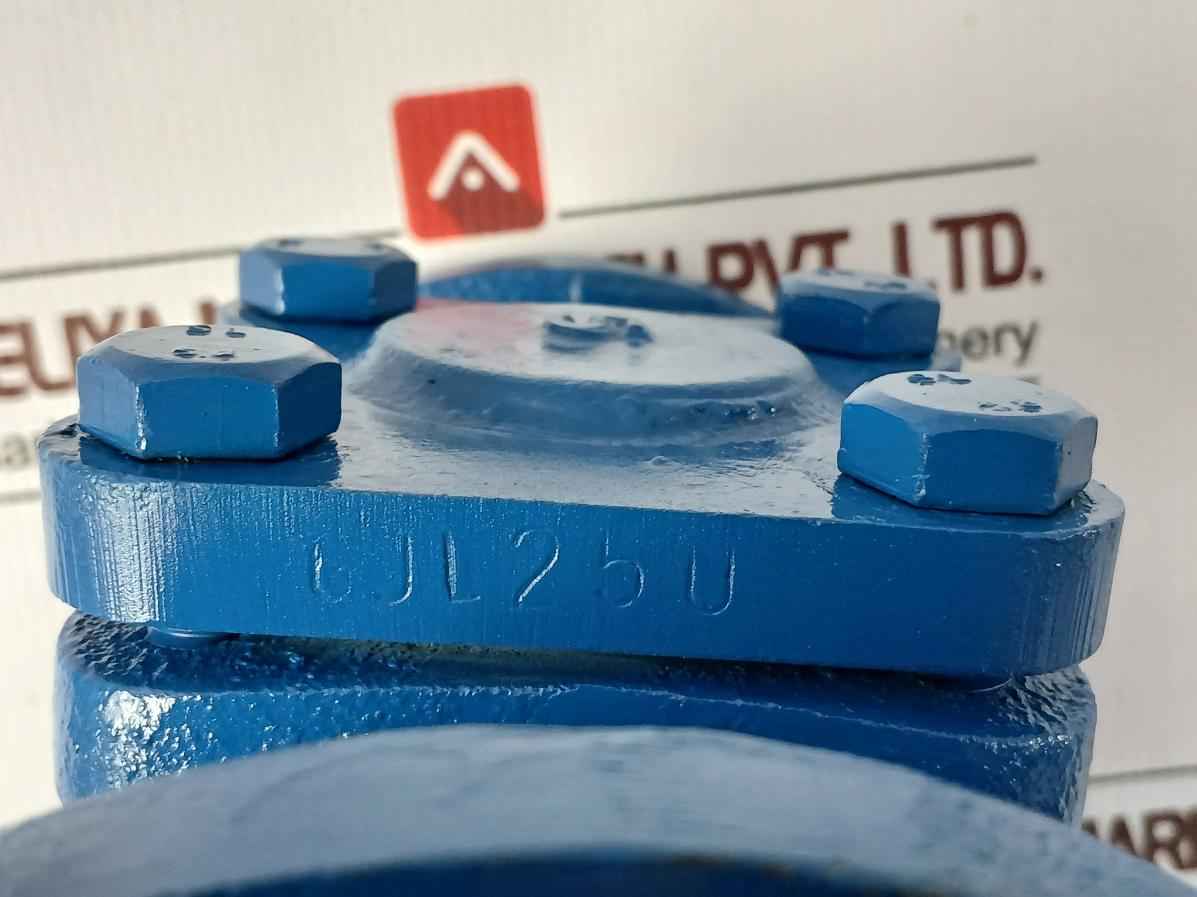 Gjl250 Lift Check Valve Pn 16
