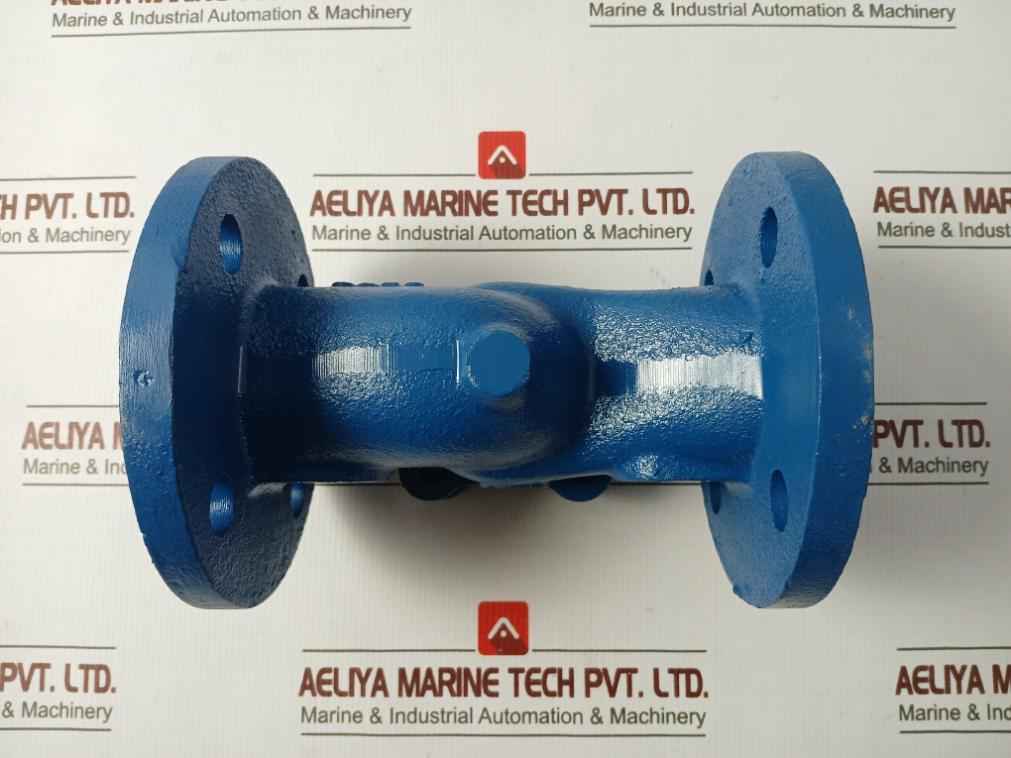 Gjl250 Lift Check Valve Pn 16