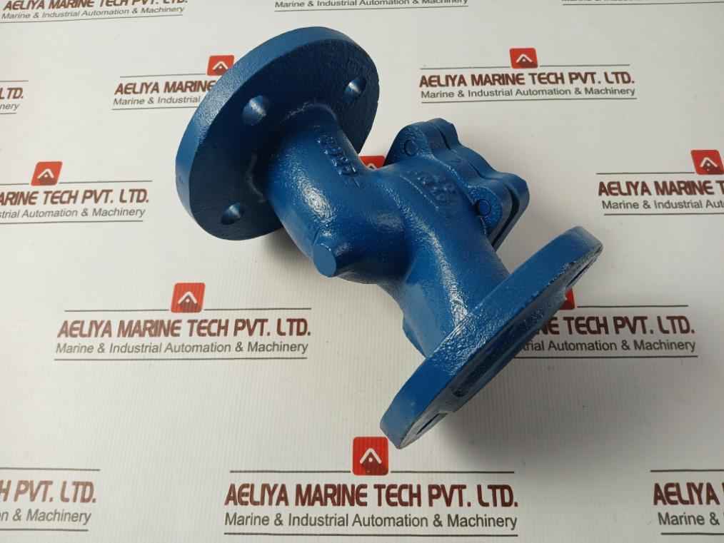 Gjl250 Lift Check Valve Pn 16