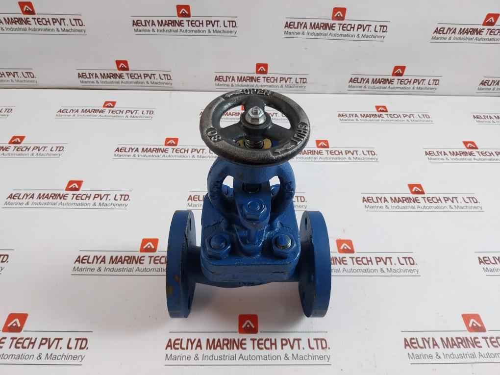 Globe Valve Dn25