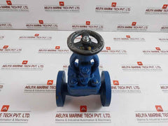 Globe Valve Dn25