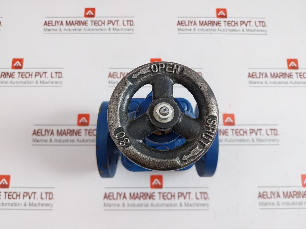 Globe Valve Dn25
