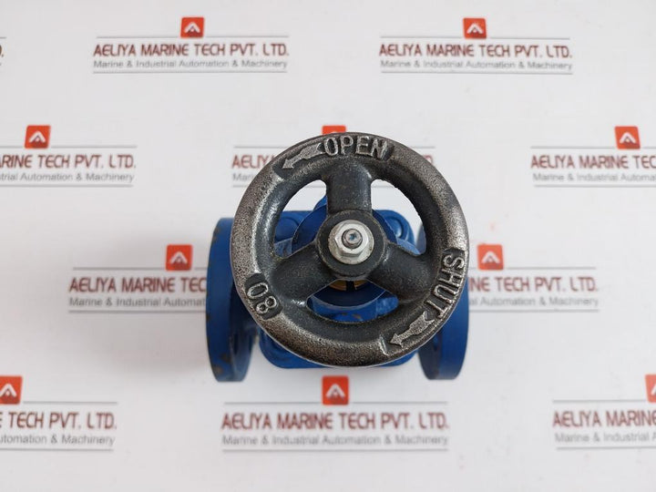 Globe Valve Dn25