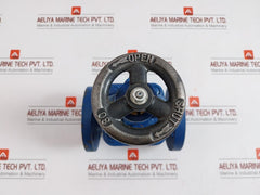 Globe Valve Dn25