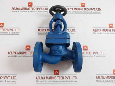 Globe Valve Dn25