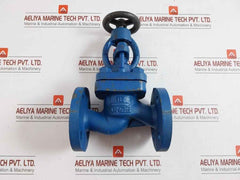 Globe Valve Dn25