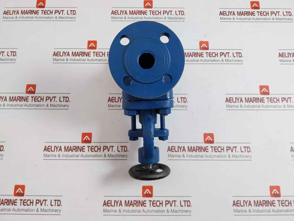 Globe Valve Dn25