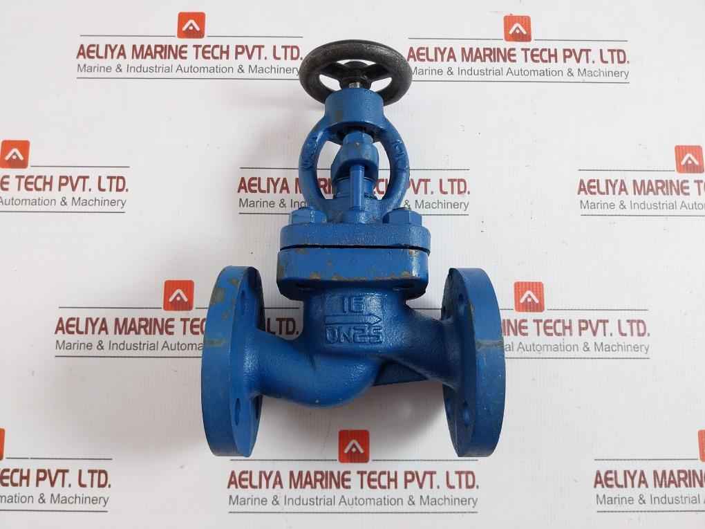 Globe Valve Dn25