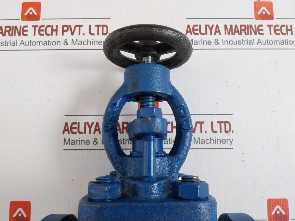 Globe Valve Dn25