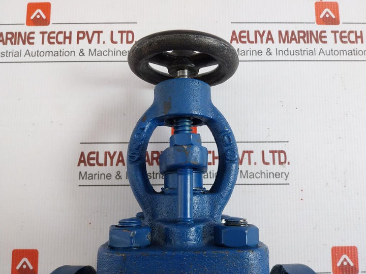 Globe Valve Dn25