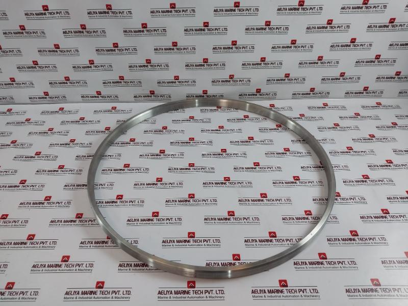 Goodrich Gasket Bx168 Ring Joint Ss316 Bx 168-api 6A 020402000300030, Ht-00402