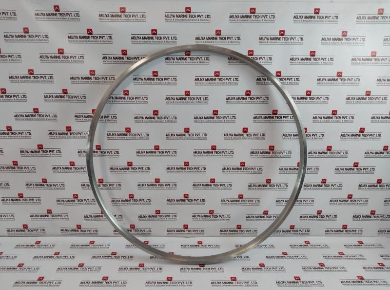 Goodrich Gasket Bx168 Ring Joint Ss316 Bx 168-api 6A 020402000300030, Ht-00402