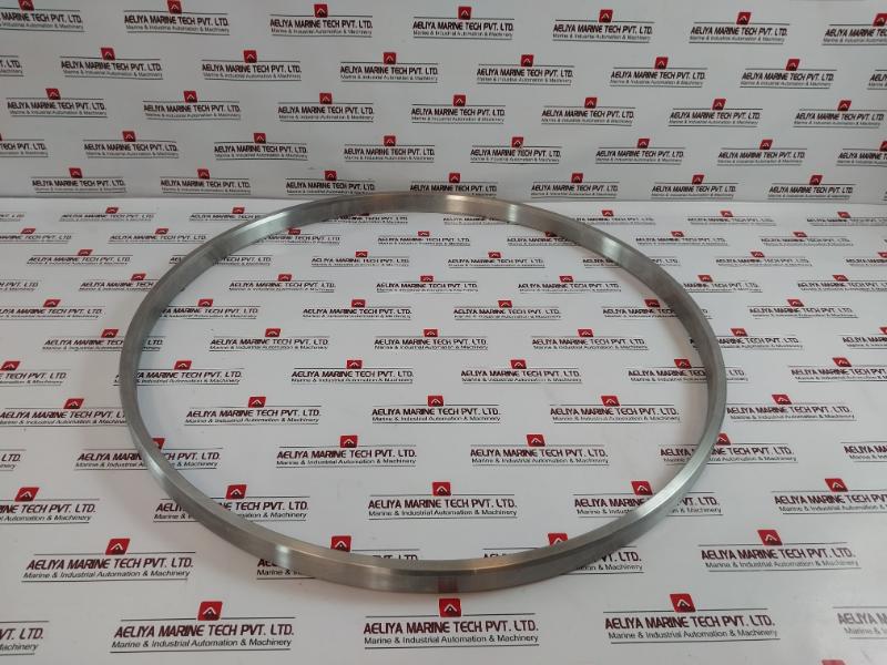 Goodrich Gasket Bx168 Ring Joint Ss316 Bx 168-api 6A 020402000300030, Ht-00402