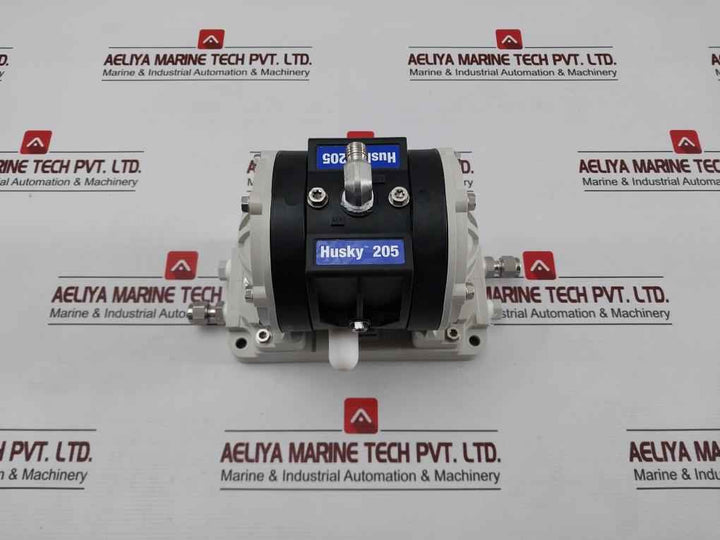 Graco 15H534 Diaphragm Pump