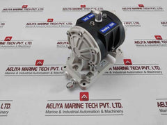 Graco 15H534 Diaphragm Pump