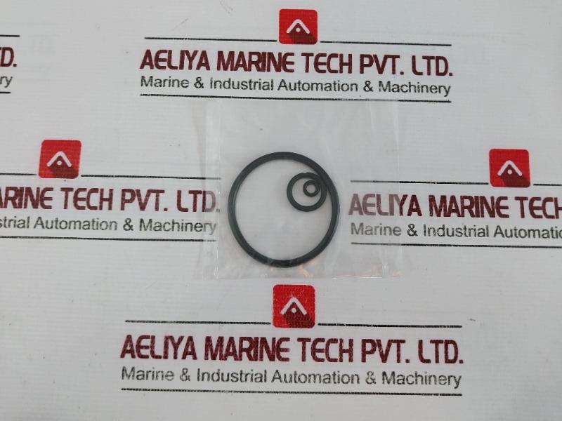 Graco 17R850 Air Regulator Repair Kit 17R650