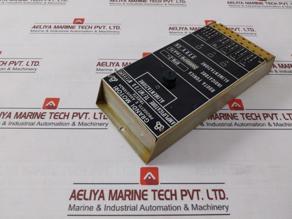 Grandi Motori Te/Mt/3 S Amplifier 220V Ca 20000Rpm-1Mafs