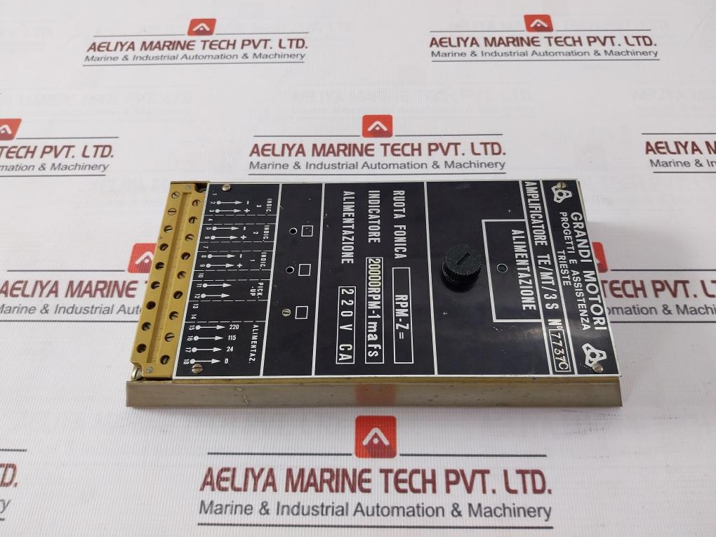Grandi Motori Te/Mt/3 S Amplifier 220V Ca 20000Rpm-1Mafs