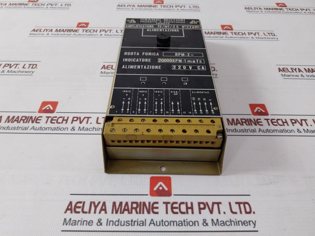 Grandi Motori Te/Mt/3 S Amplifier 220V Ca 20000Rpm-1Mafs