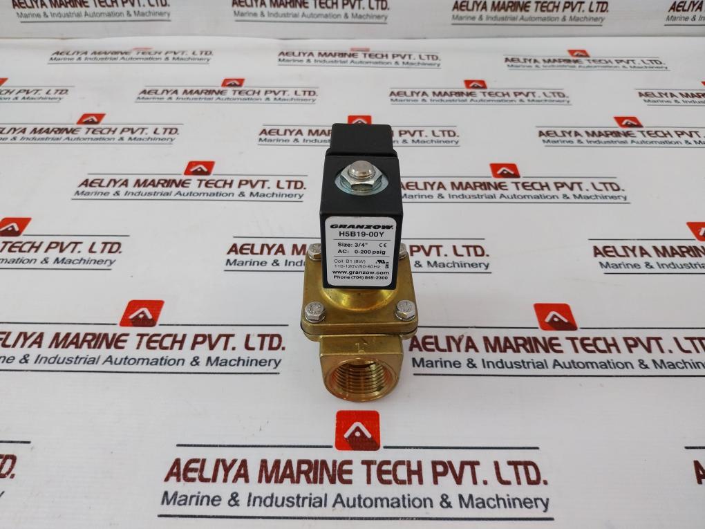 Granzow H5B19-00Y 2-way, Direct Lift Solenoid Valve 3/4” 110-120V/50-60Hz