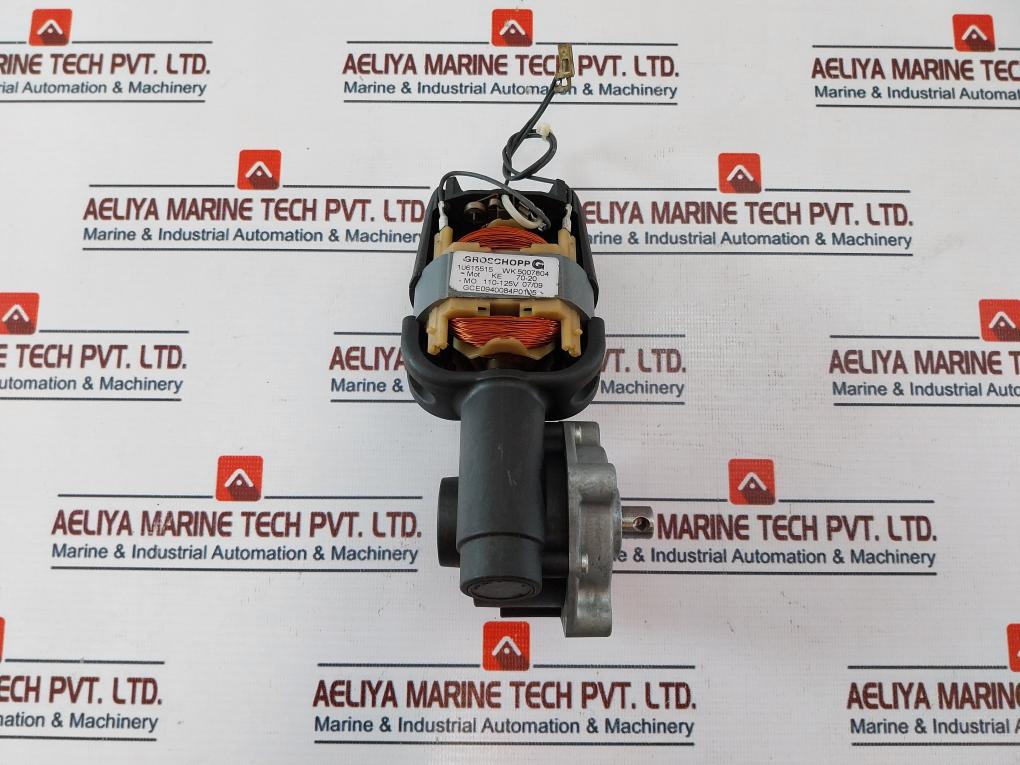 Groschopp Gce0940084P0135 Gearmotor Wk 5007804 10615515