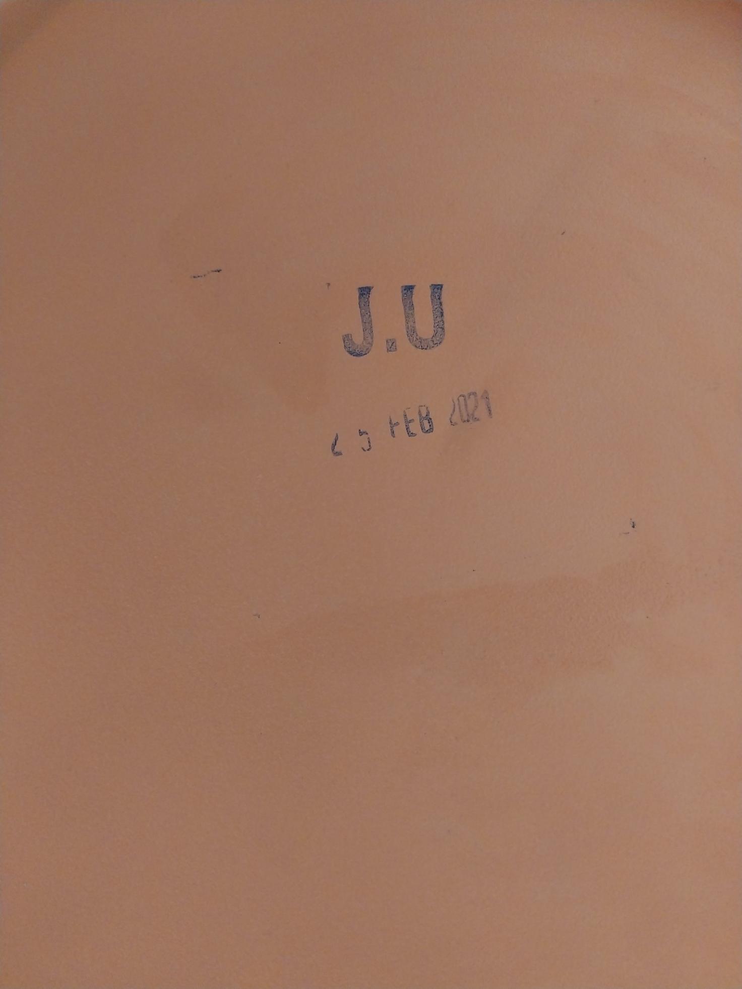 Groz Vgp-10 Volume Bucket Grease Pumps Rev. D