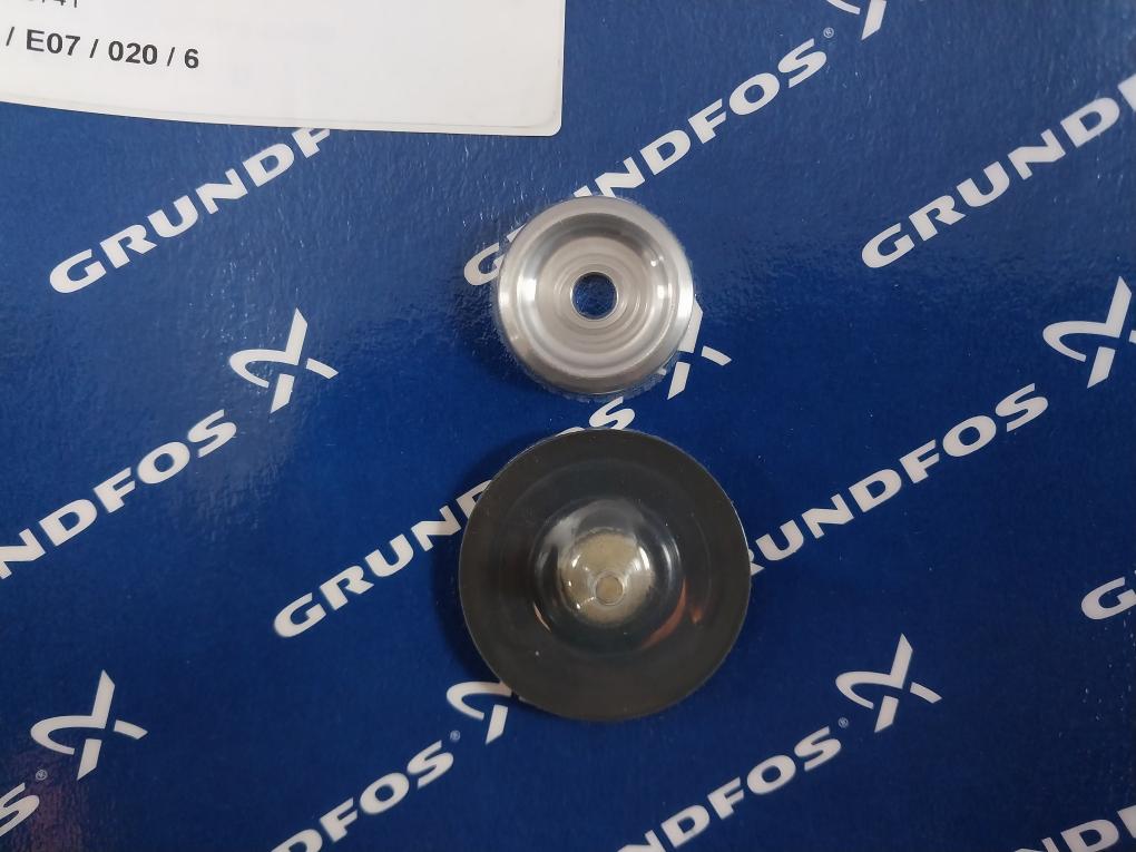 Grundfos 96440741 Membrane Service Kit DME 12-6