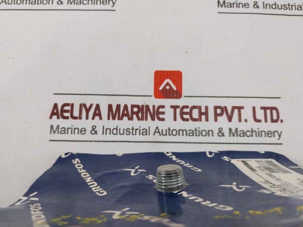 Grundfos 96590492 Silico Pipe Plug R1/4 With Deltatone Seal