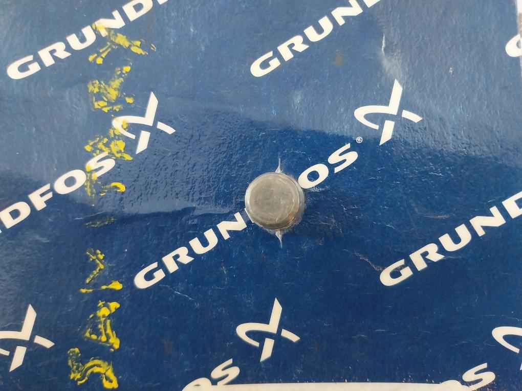 Grundfos 96590492 Silico Pipe Plug R1/4 With Deltatone Seal