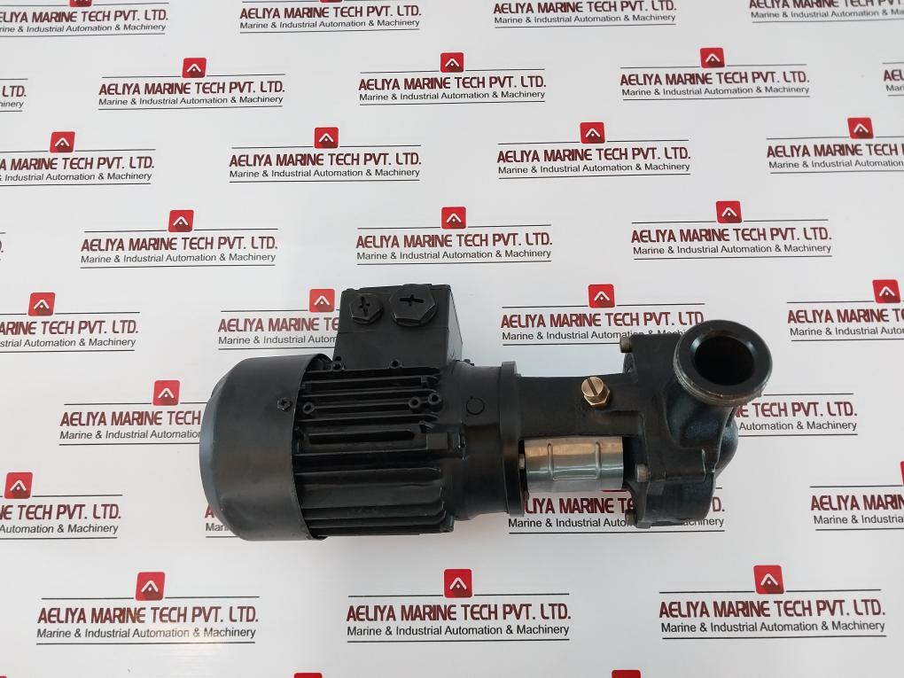 Grundfos Tp 25-80/2 Tp Pump Tp 25-80/2 A-o-a-bube A49Z51463P21046003 5